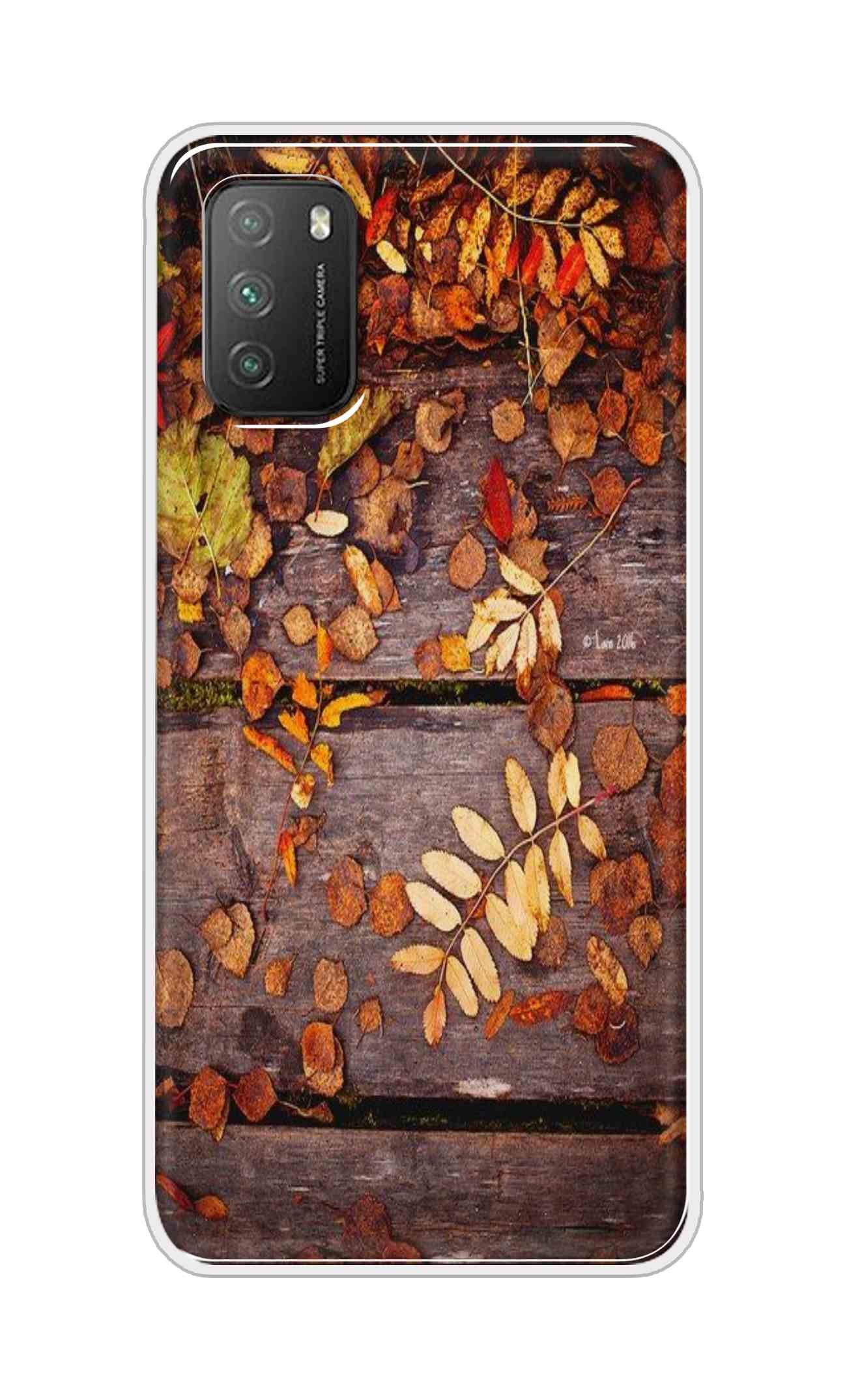 SCPocoM3-LeavesonWood-1